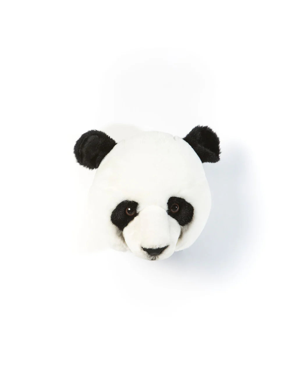 Wild & Soft Panda