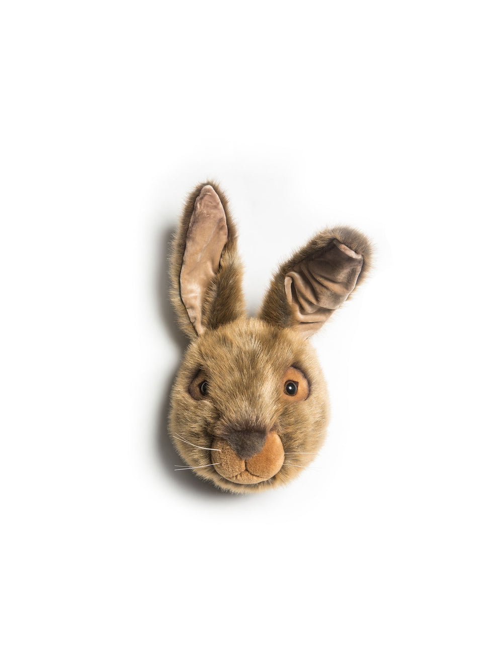 Lewis der Hase
