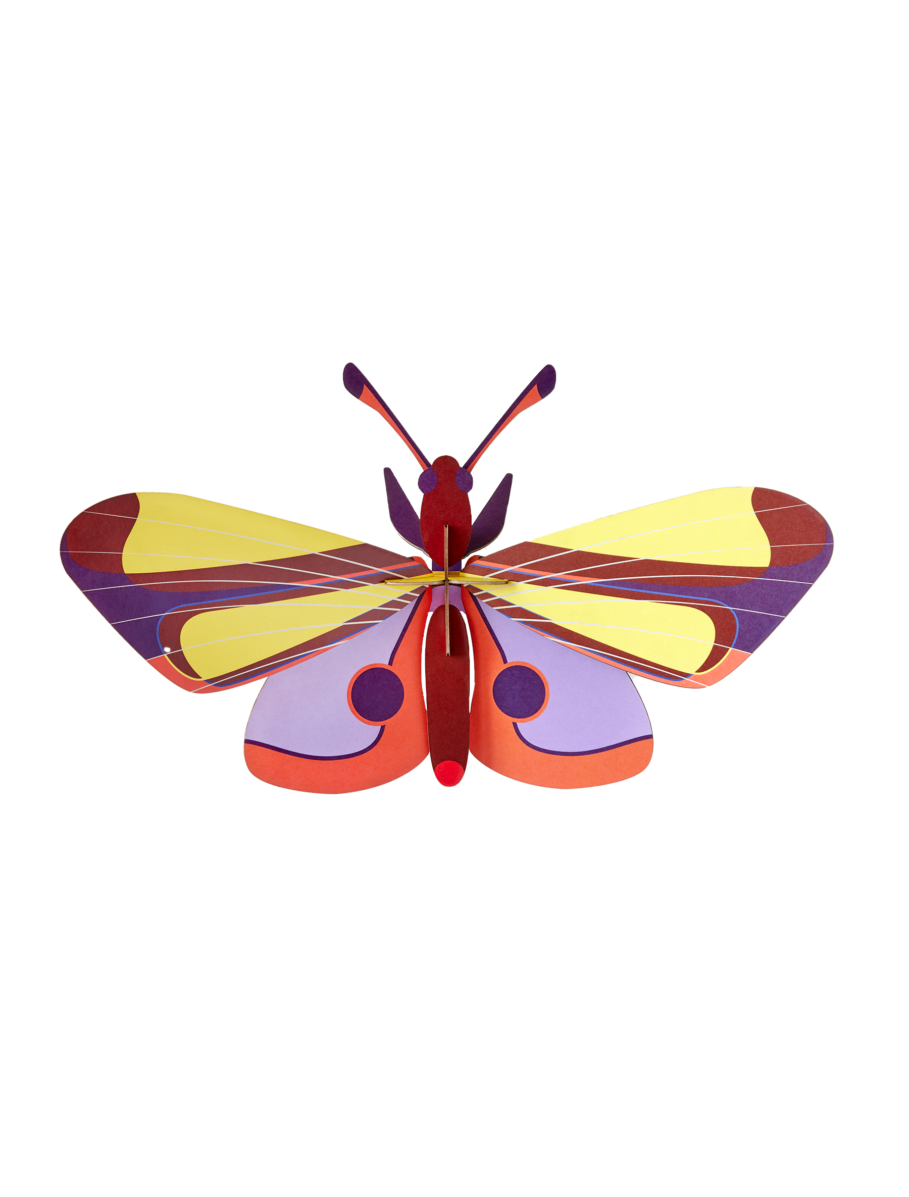 Studio Roof Purple Eyed Butterfly