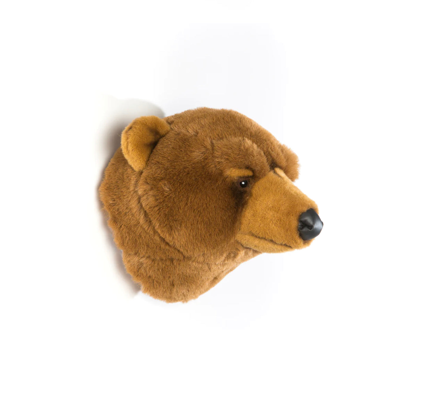 Oliver der Braunbär