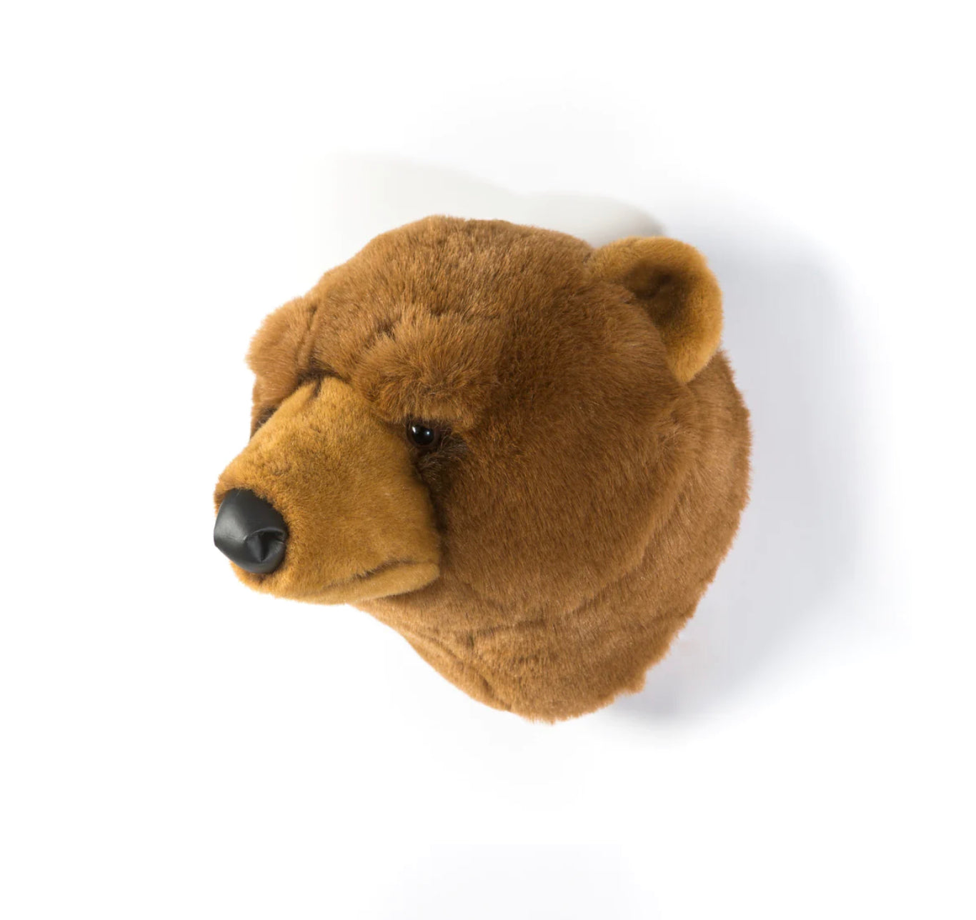Oliver der Braunbär