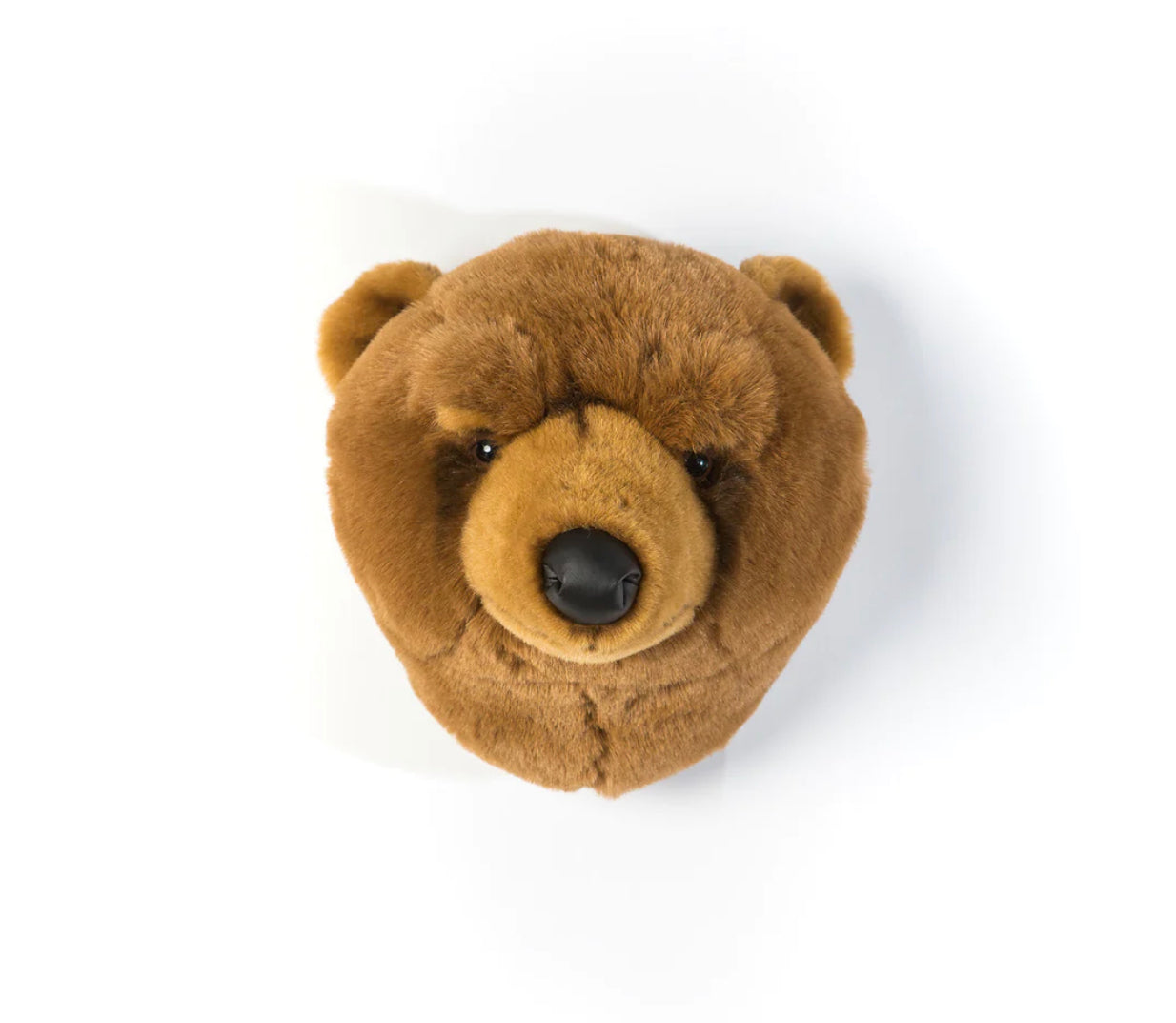 Oliver der Braunbär