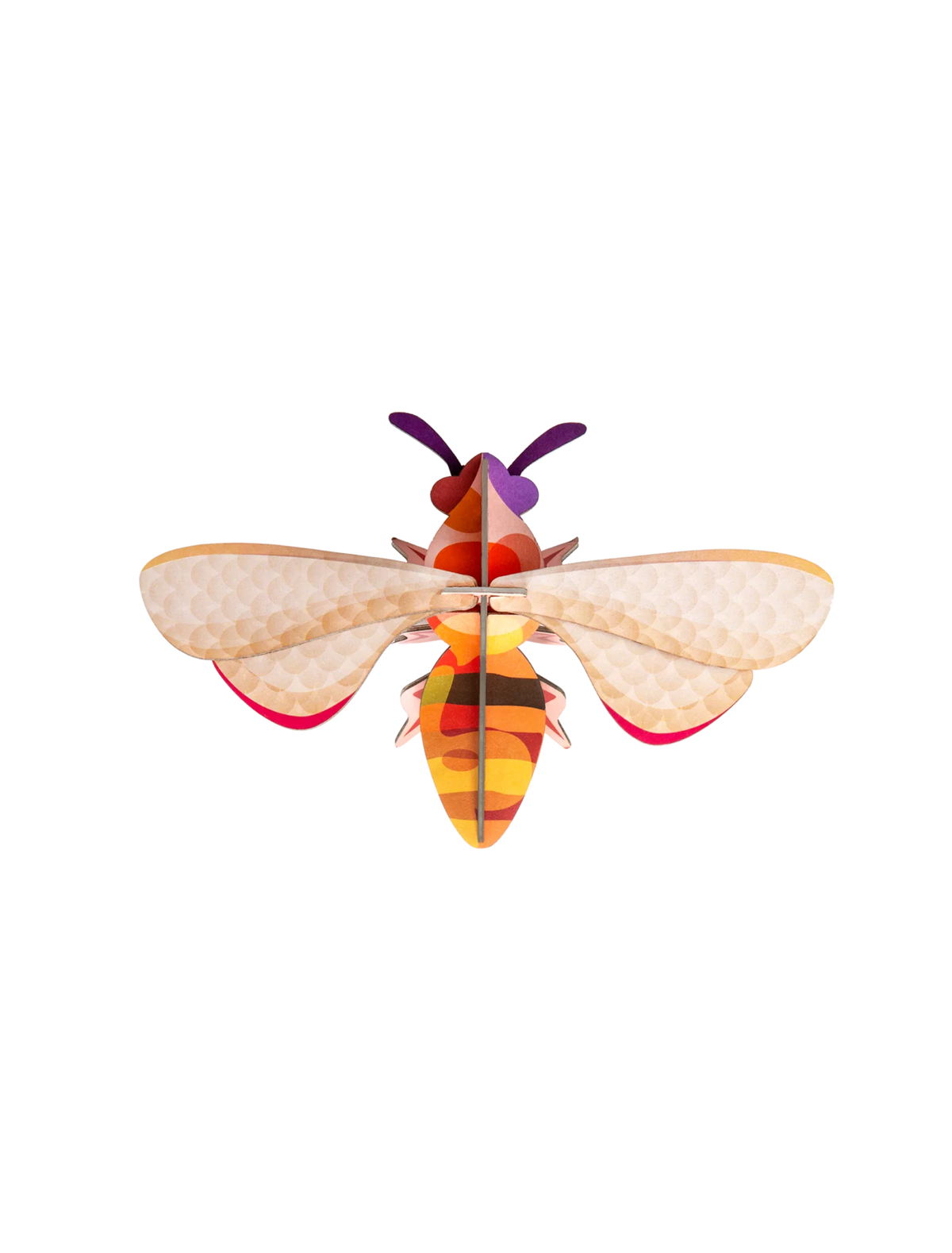 Studio Roof Honeybee
