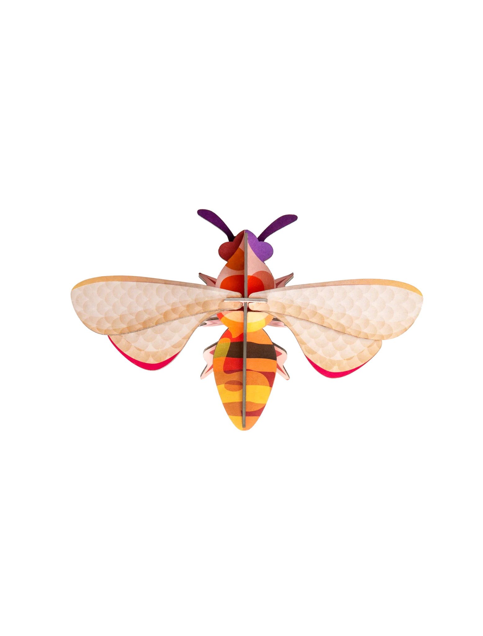 Studio Roof Abeille à miel