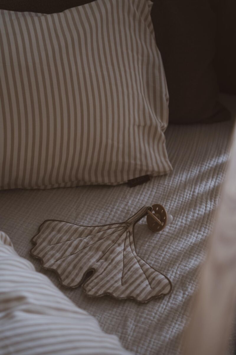 Imbragatura per ciuccio Quax Natural Ginkgo