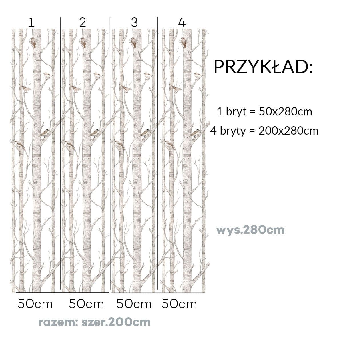 Dekornik wallpaper Birch Forest stripes 50 x 280
