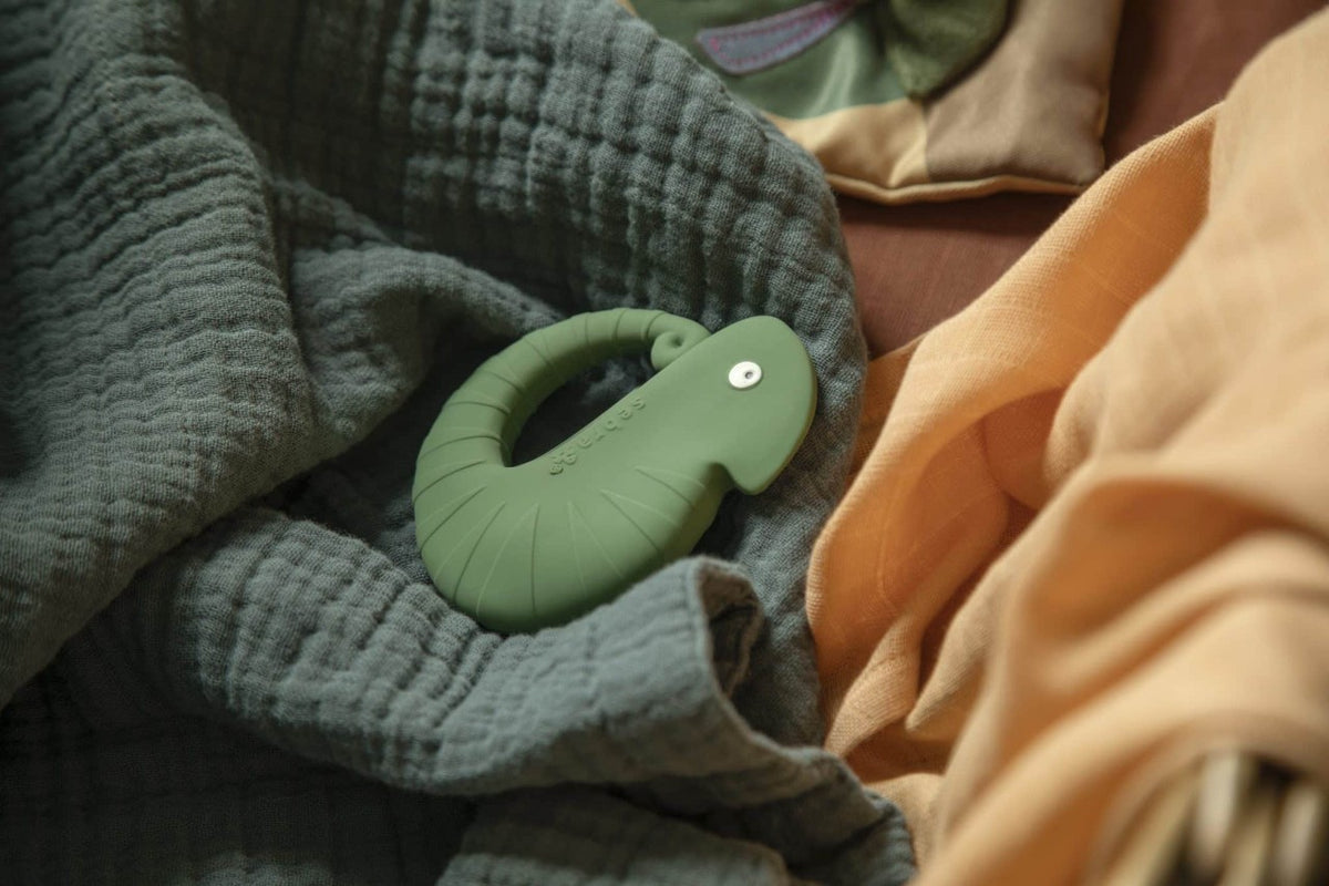 Sebra teething ring natural rubber latex, Carley the chameleon