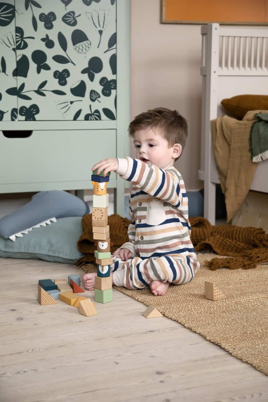 Sebra cubes de découverte en bois
