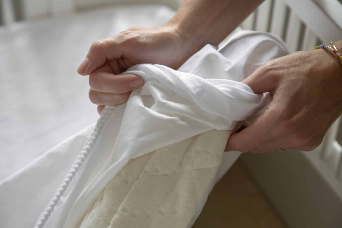 Sebra activity cuddle cloth, Lee the lion