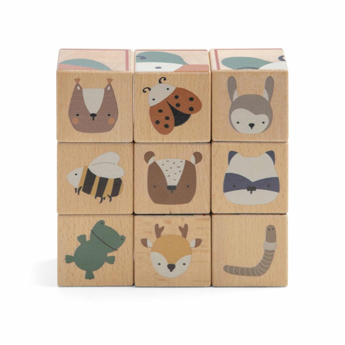 Sebra wooden cube puzzle