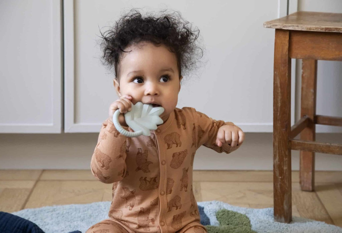 Sebra teething ring natural rubber latex, leaf