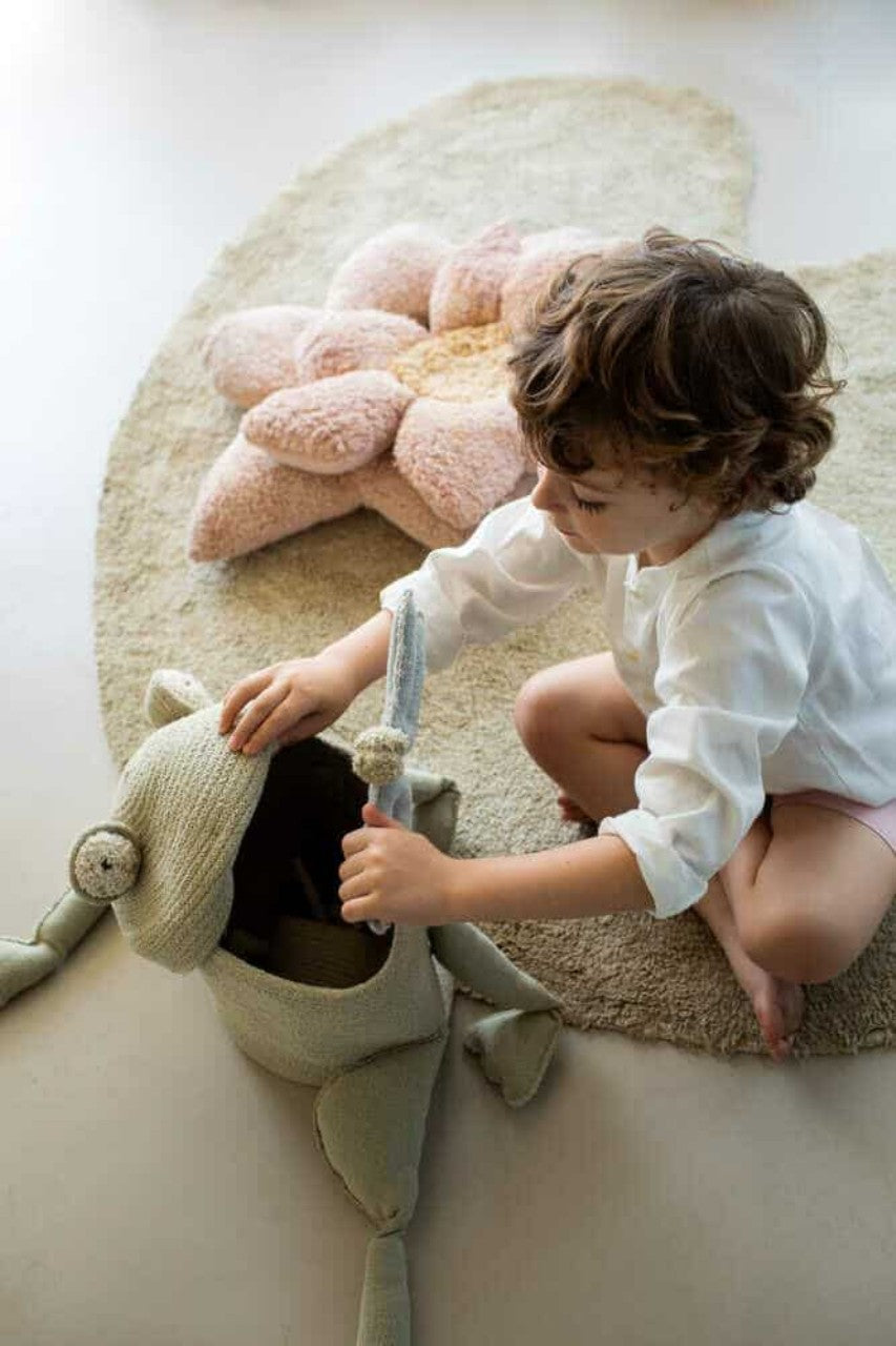 Lorena Canals Korb Fred the Frog