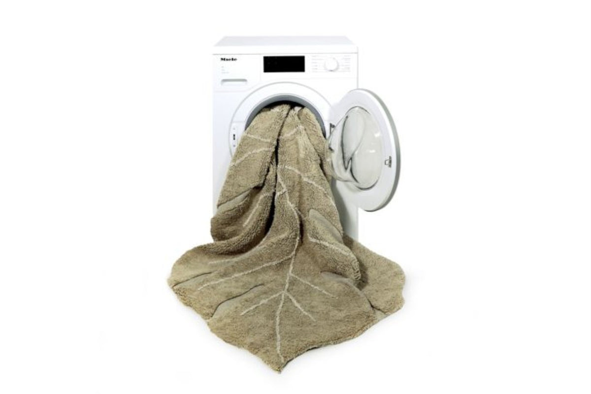 Sebra fabric pull-along toy, Carley the chameleon