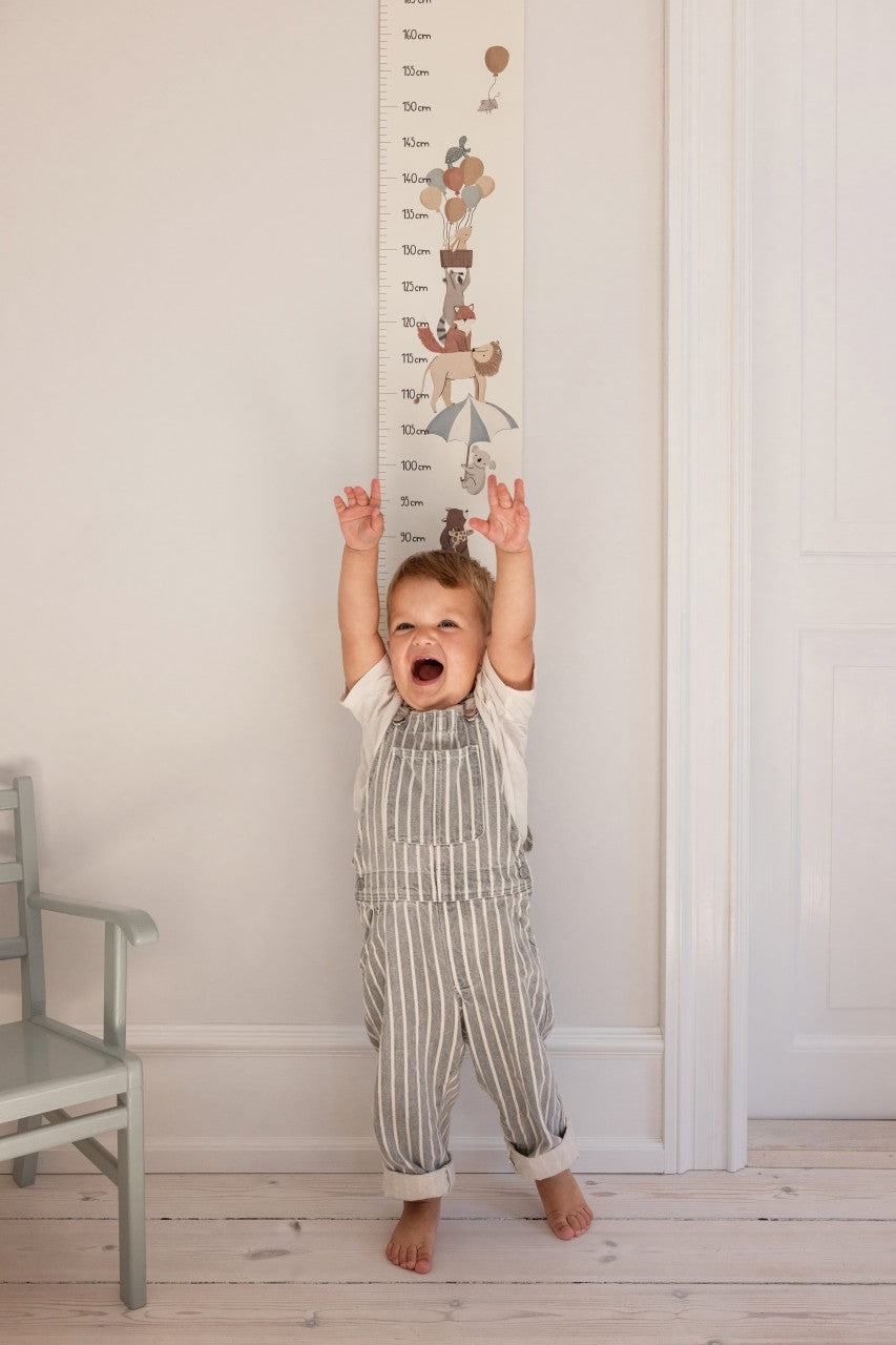 Sebra Kinder Höhenmesser, World of Sebra, FSC™ MIX Classic