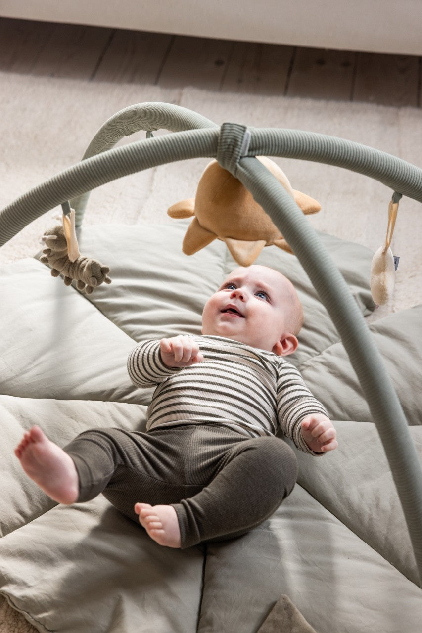 Arco giochi Sebra, Baby Gym Woodland
