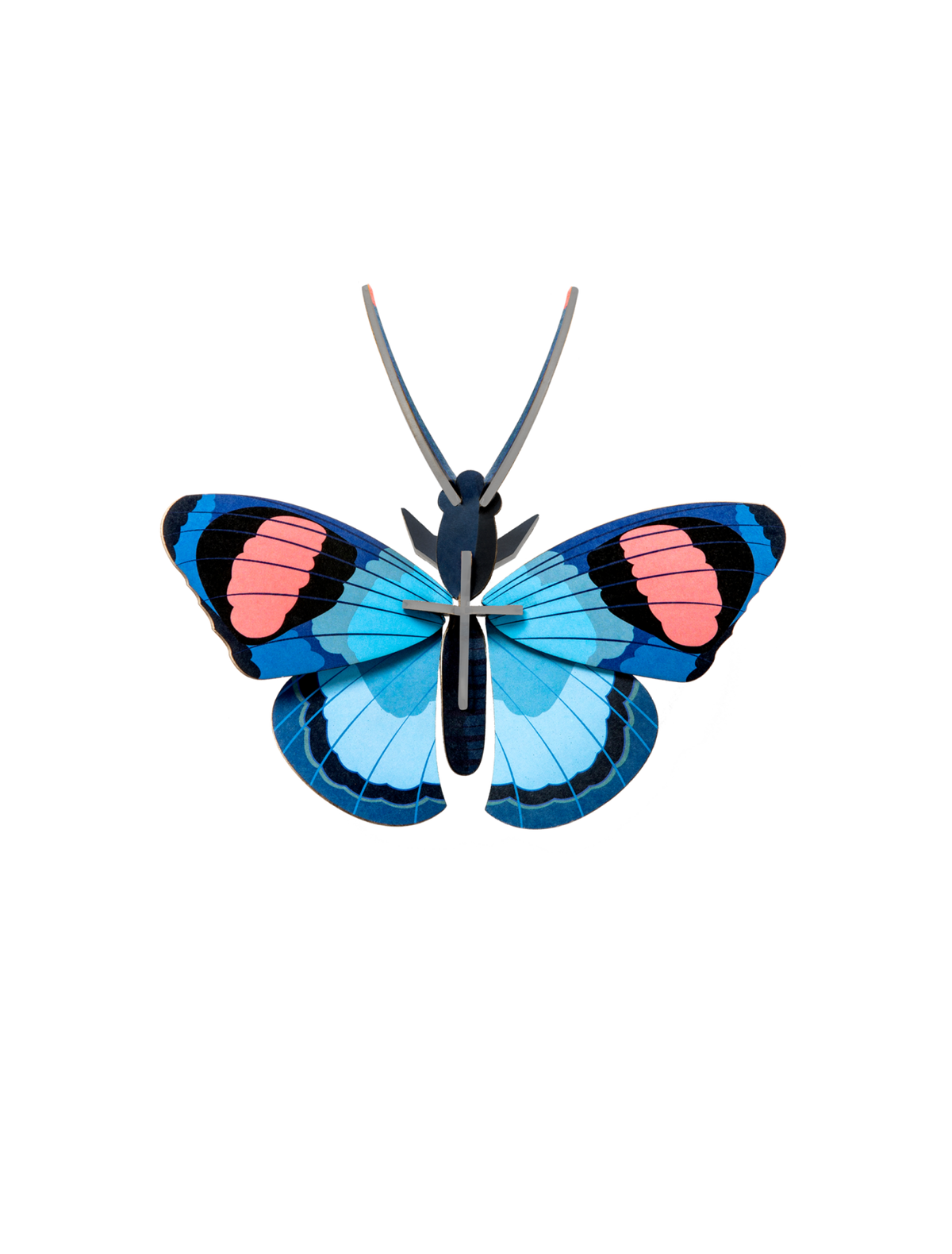 Studio Roof Peacock Butterfly