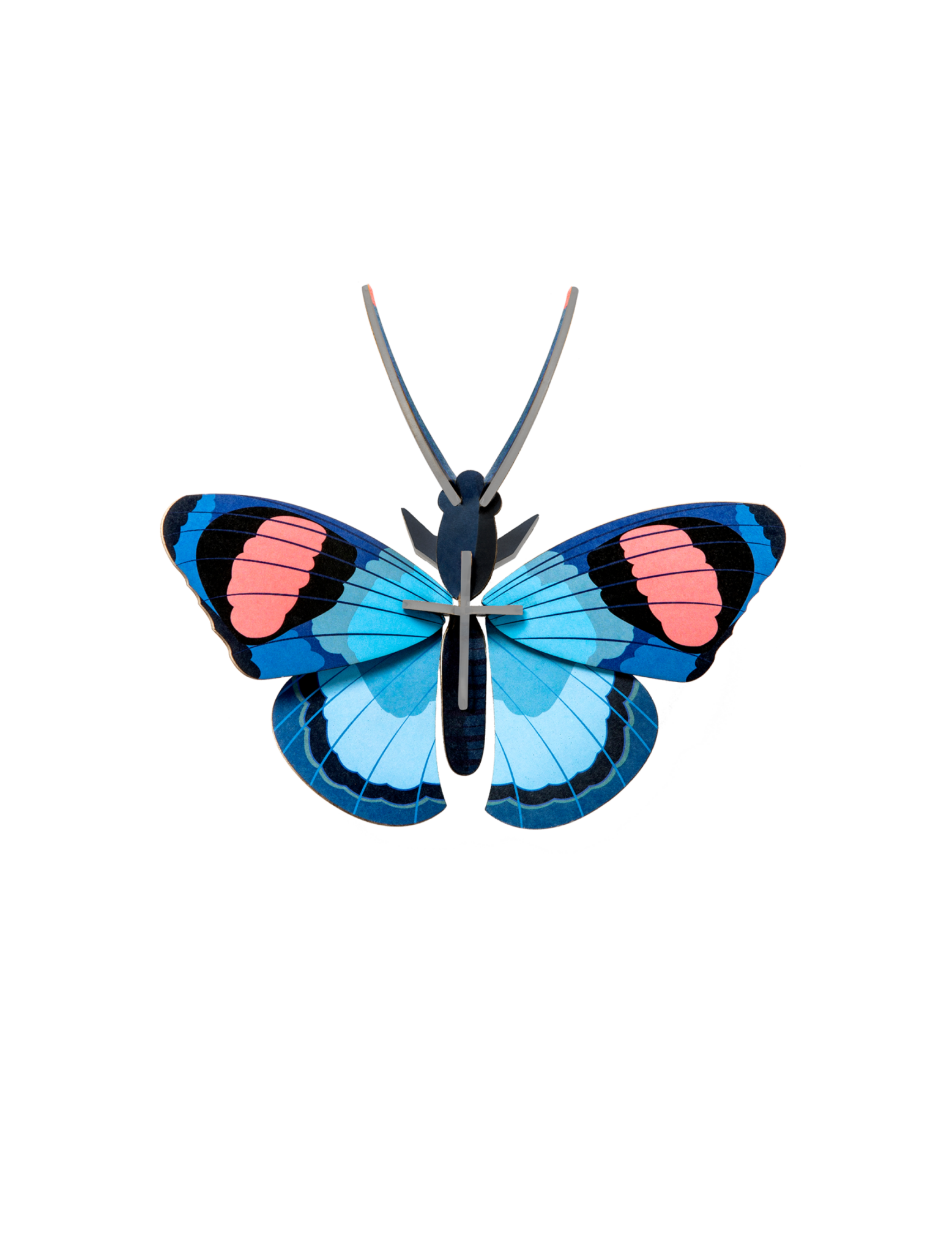 Studio Roof Peacock papillon
