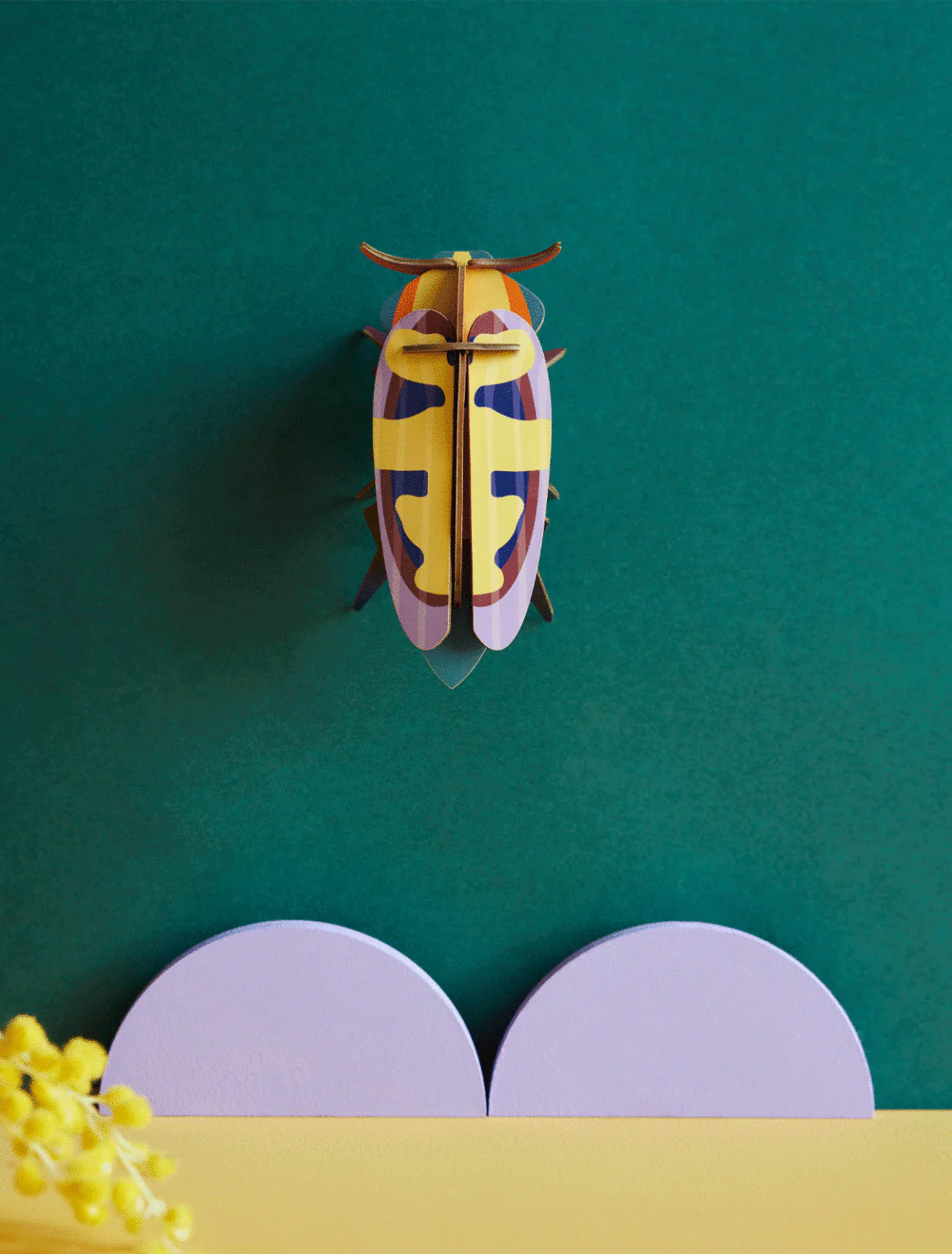 Studio Roof Mango Flower beetle