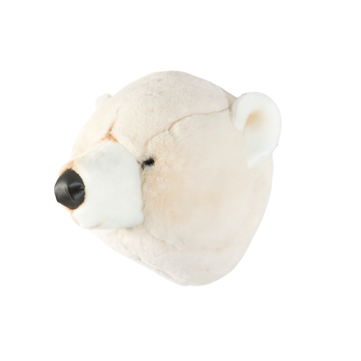 Wild & Soft Basile, la testa di animale dell'orso polare