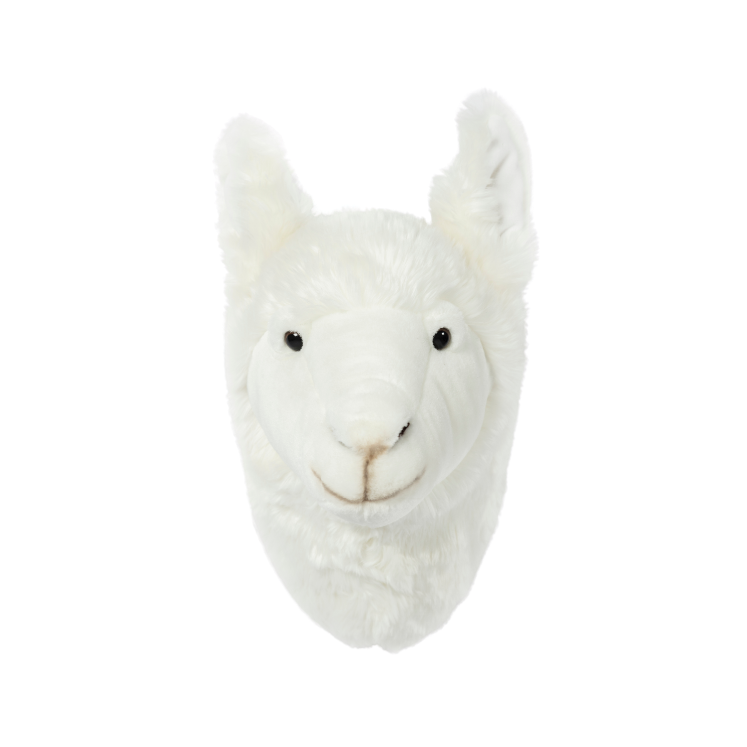 Wild & Soft Lily das Lama Tierkopf