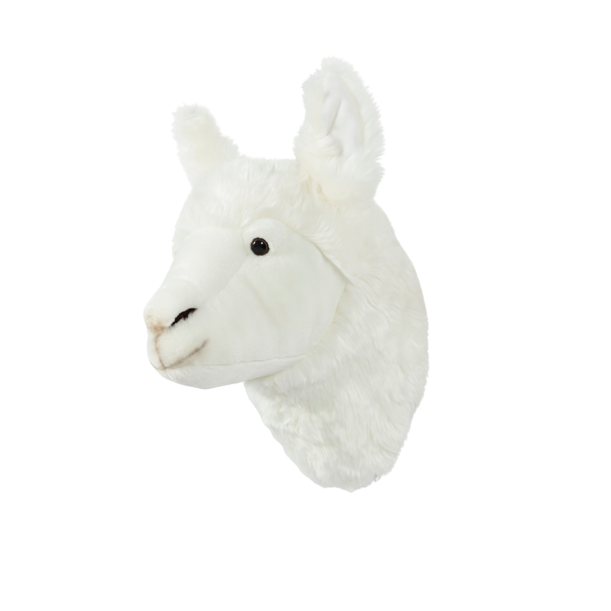 Wild & Soft Lily das Lama Tierkopf