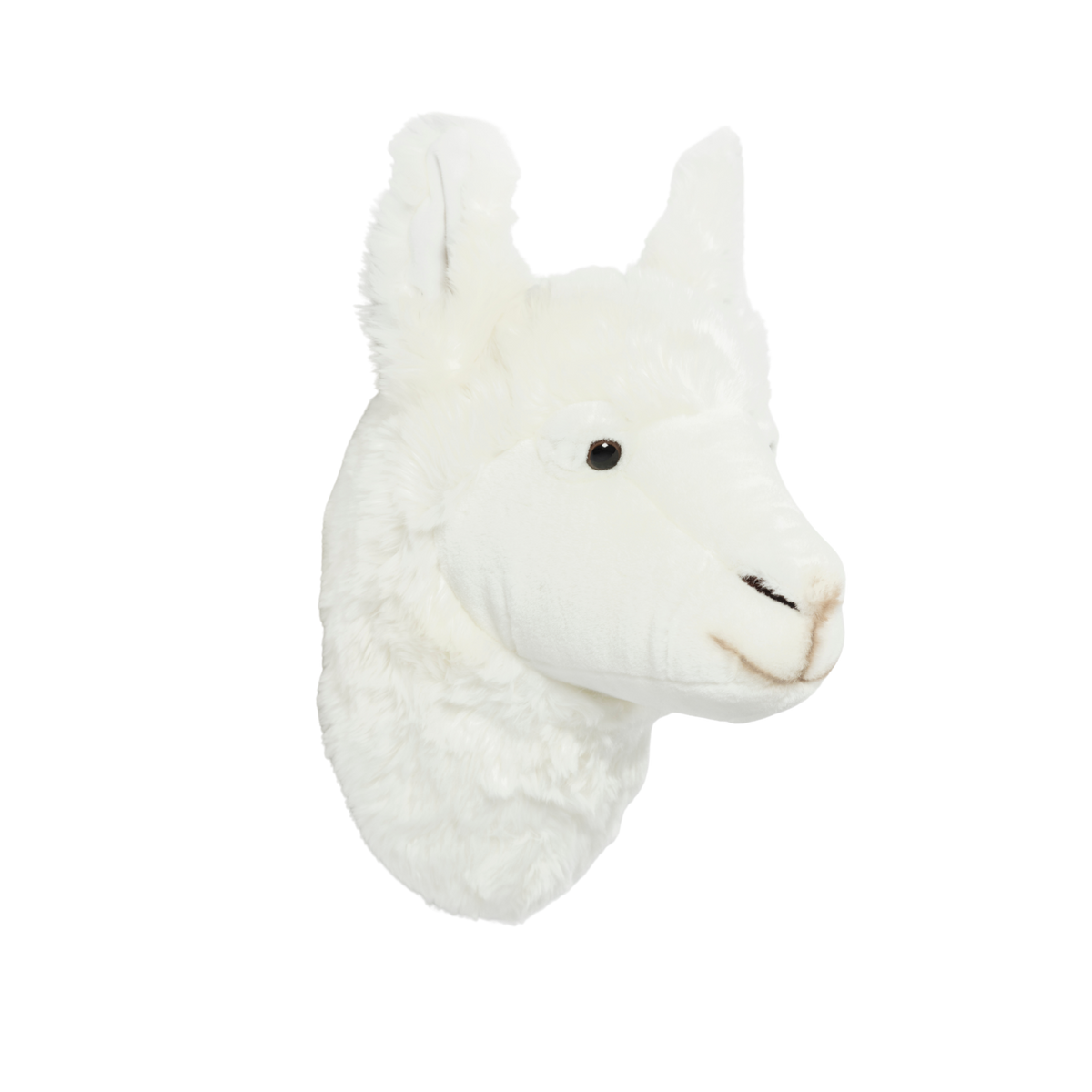 Wild & Soft Lily das Lama Tierkopf