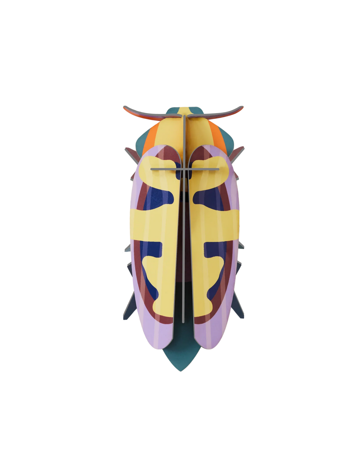 Studio Roof Mango Flower beetle