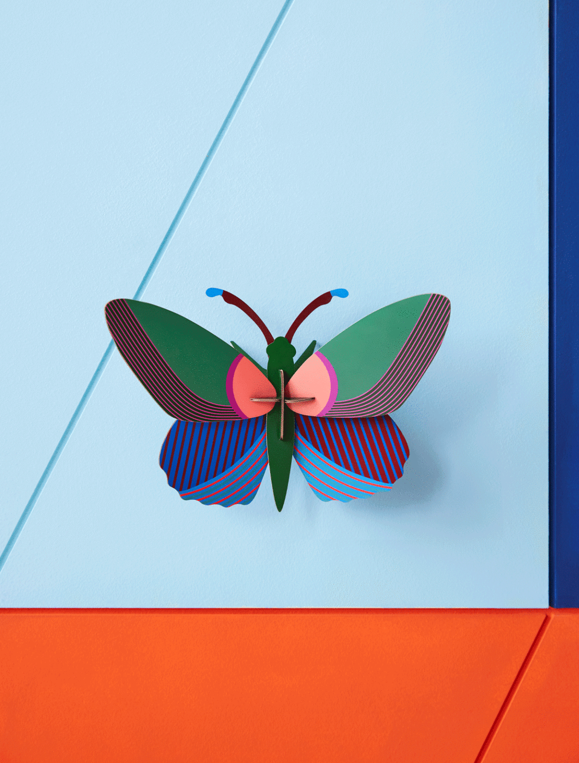 Studio Roof Acacia Papillon