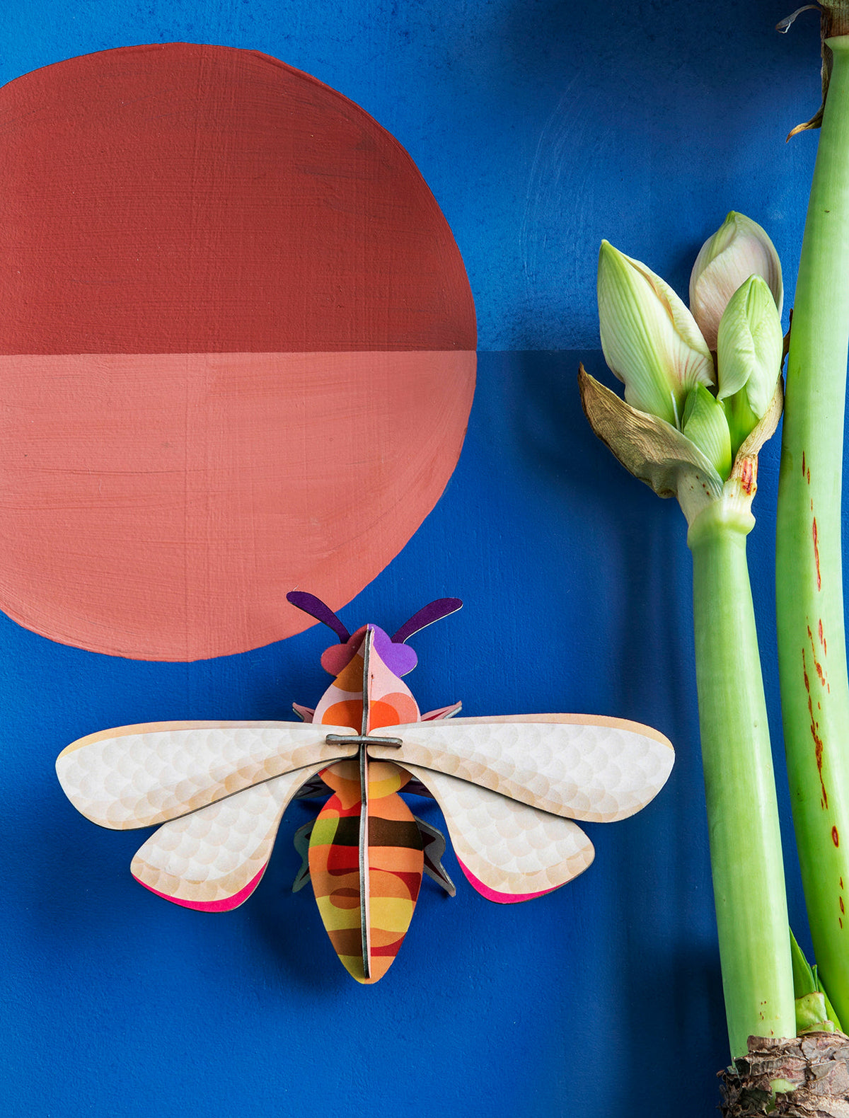 Studio Roof Honeybee