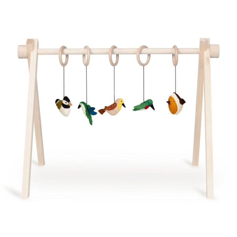 Set de jouets Quax (5 Pcs)