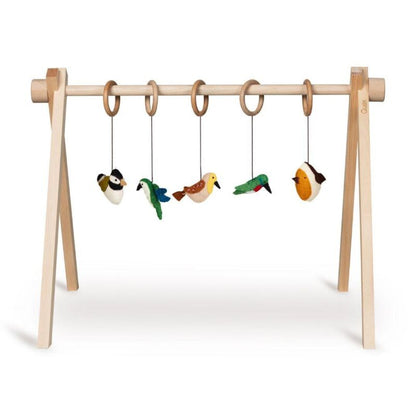 Quax Spelzeug Set (5 Pcs)