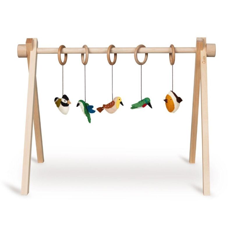 Set de jouets Quax (5 Pcs)