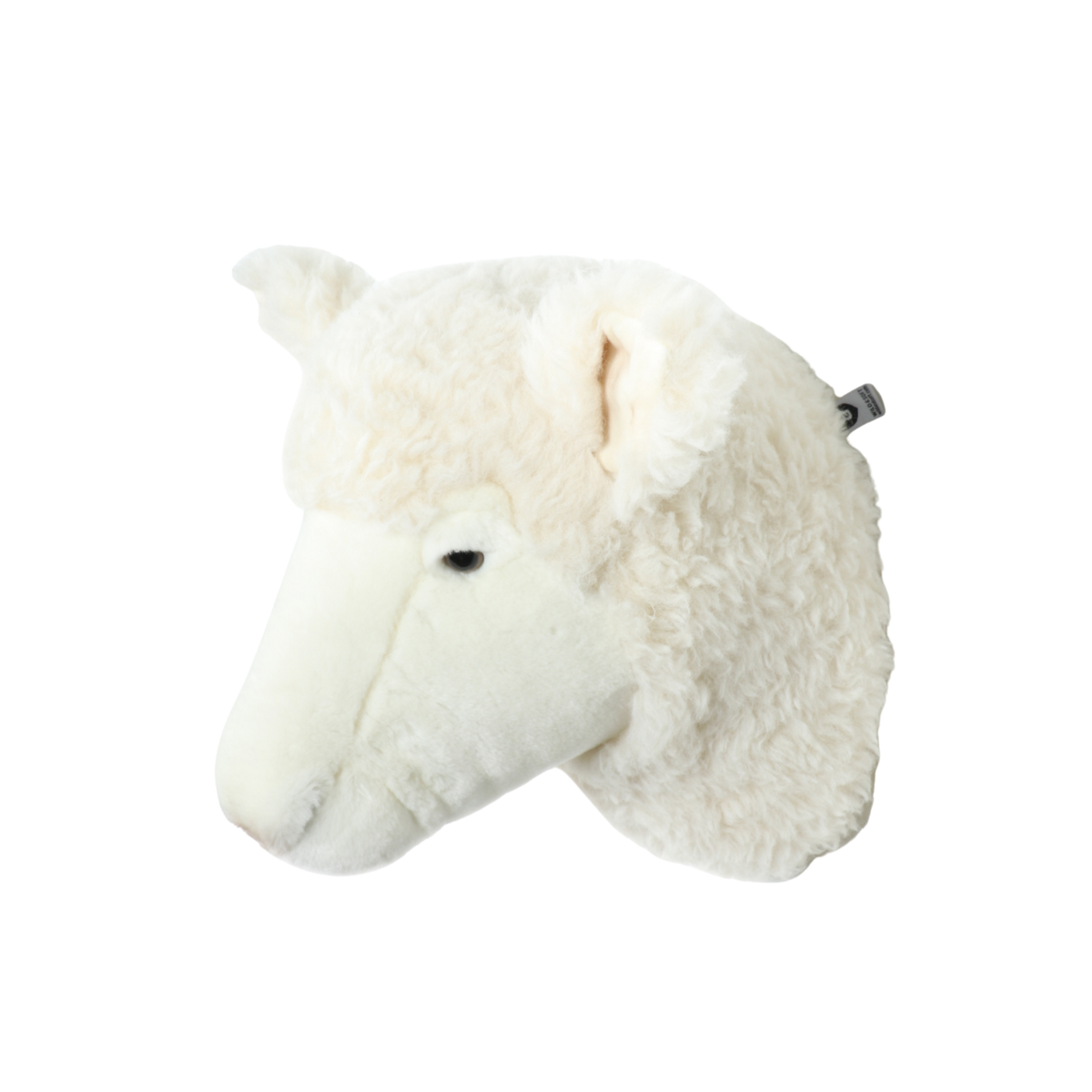 Wild & Soft Harry das Schaf Tierkopf