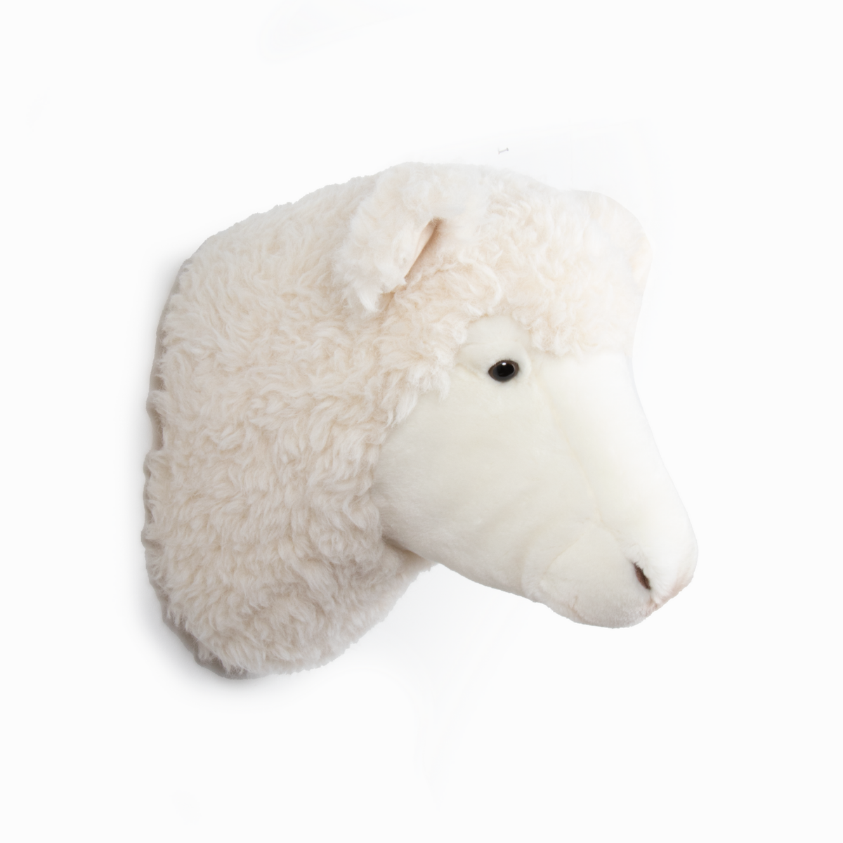 Wild & Soft Harry das Schaf Tierkopf