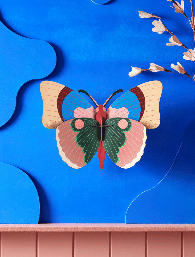 Studio Roof Cepora papillon
