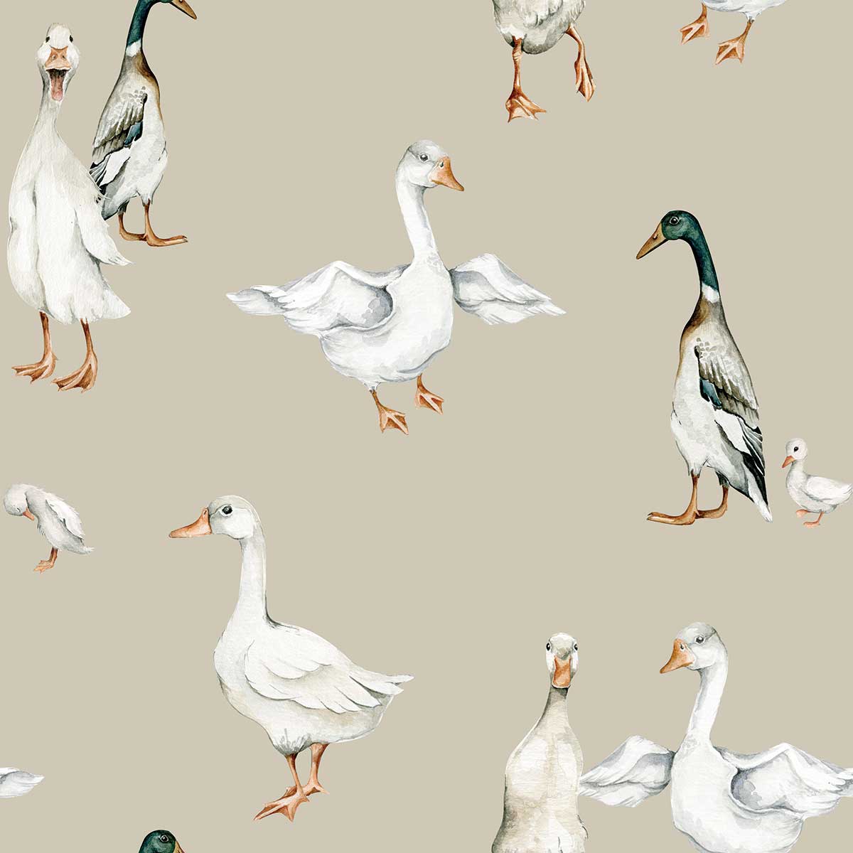 Dekornik Tapete Weiss Ducks / Return to Innocence Streifen 50 x 280