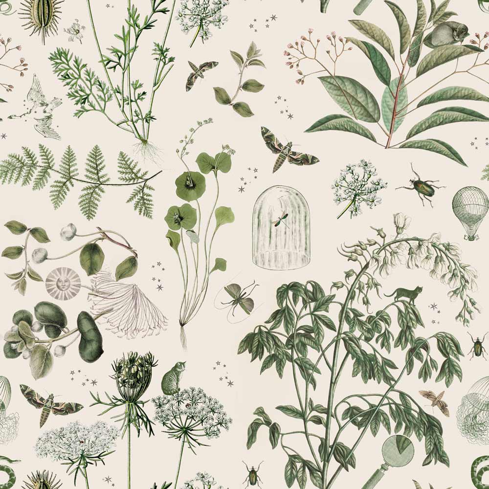 Dekornik Tapete Grün Botanical Stories Streifen 100 x 280