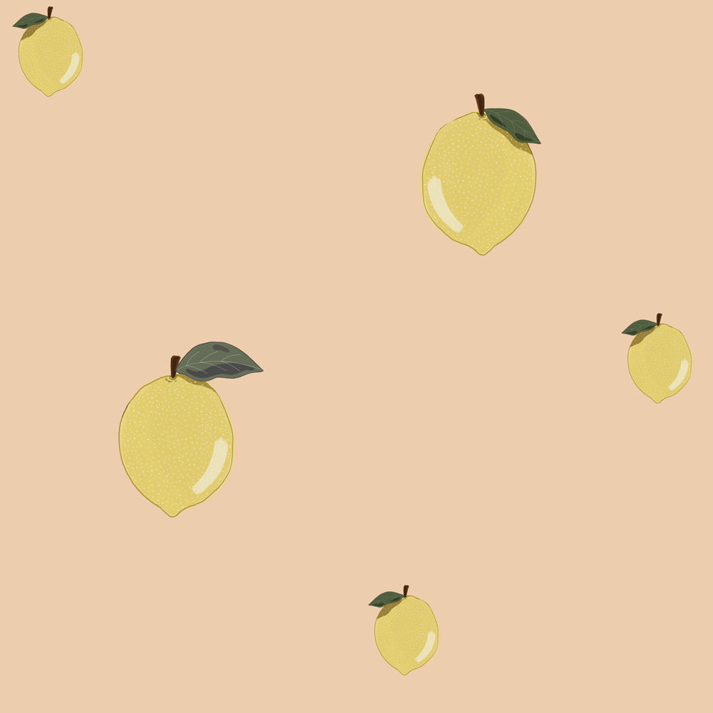 Carta da parati Dekornik Little Lemons Strisce di salmone 50 x 280