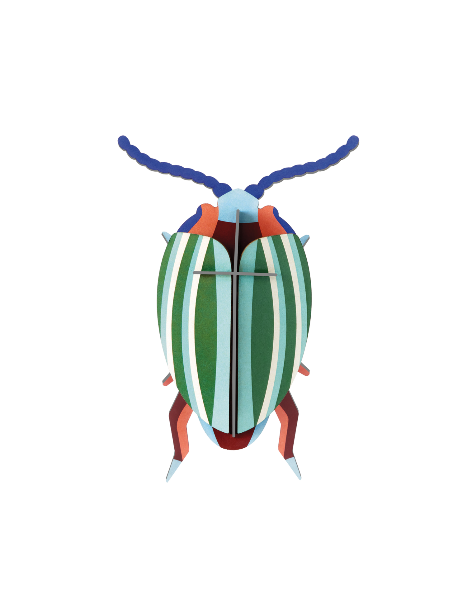 Studio Roof Rainbow Leaf Beetle