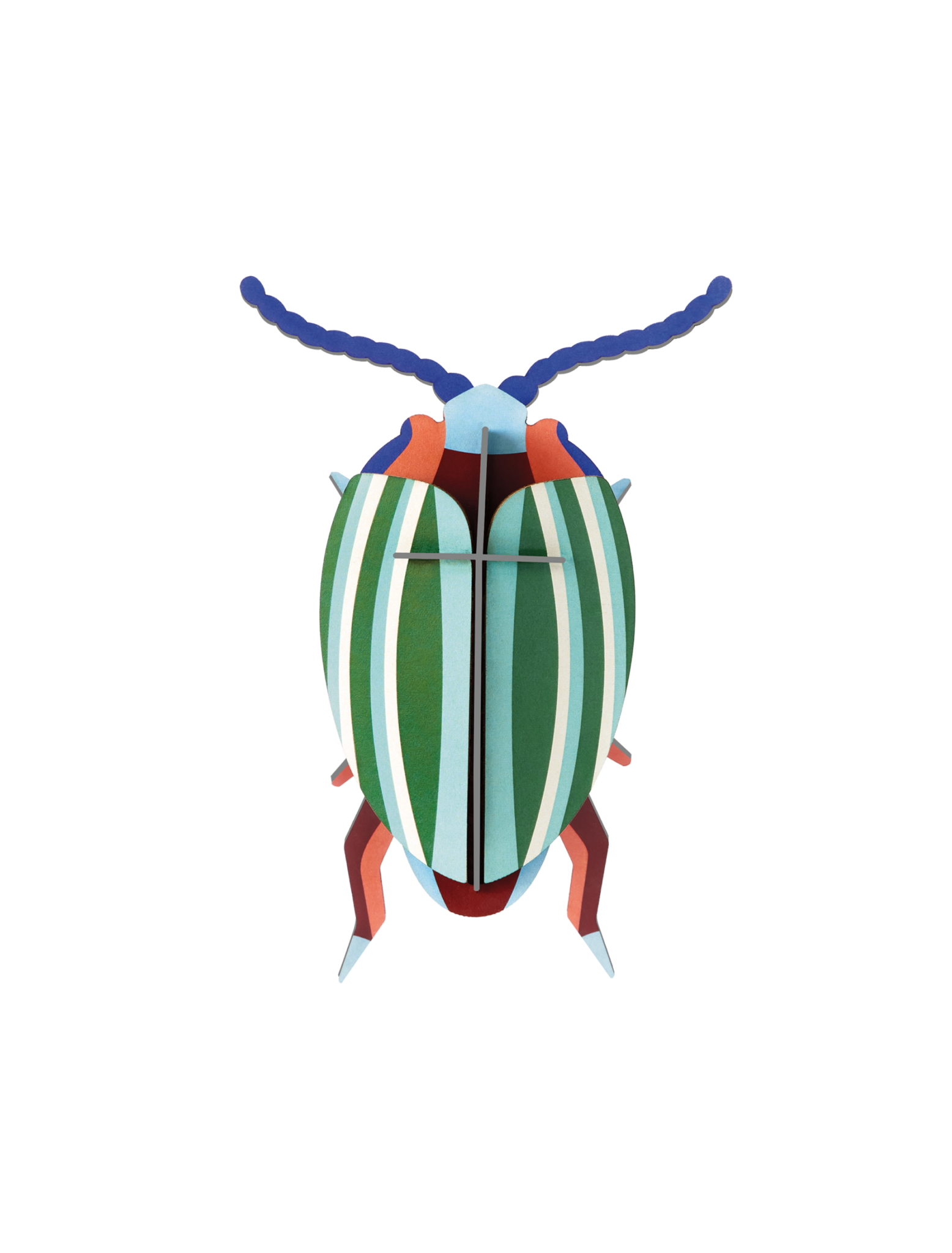 Studio Roof Rainbow Leaf Beetle