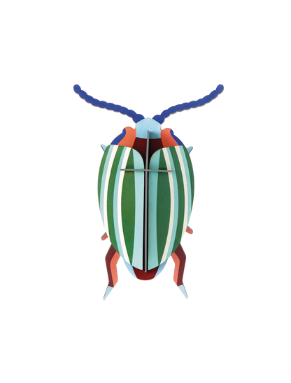 Studio Roof Rainbow Leaf Beetle