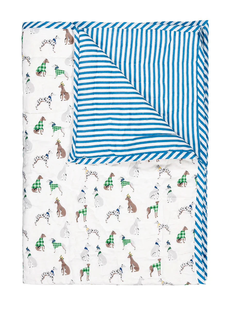 Lucas du Tertre coperta gattonante cane 85x95