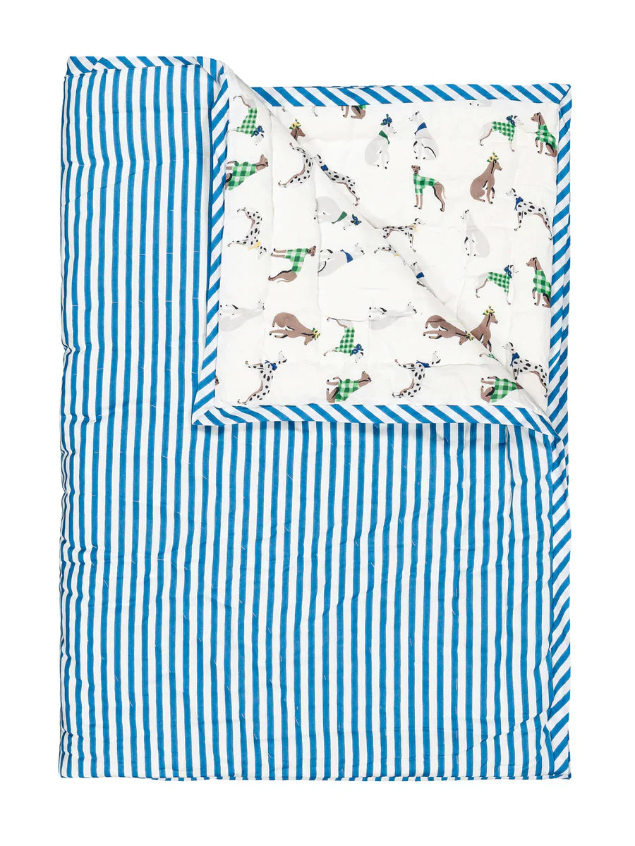 Lucas du Tertre coperta gattonante cane 85x95