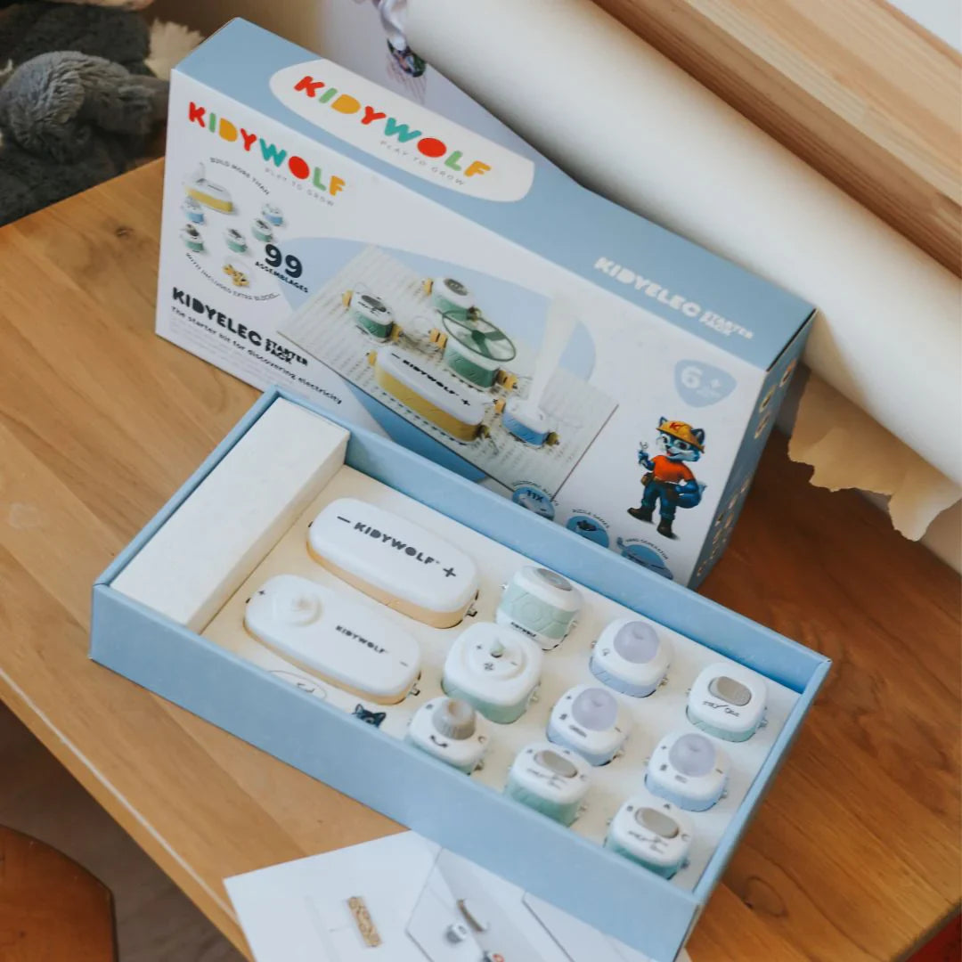 Kidywolf electricity experiment kit 11 pieces