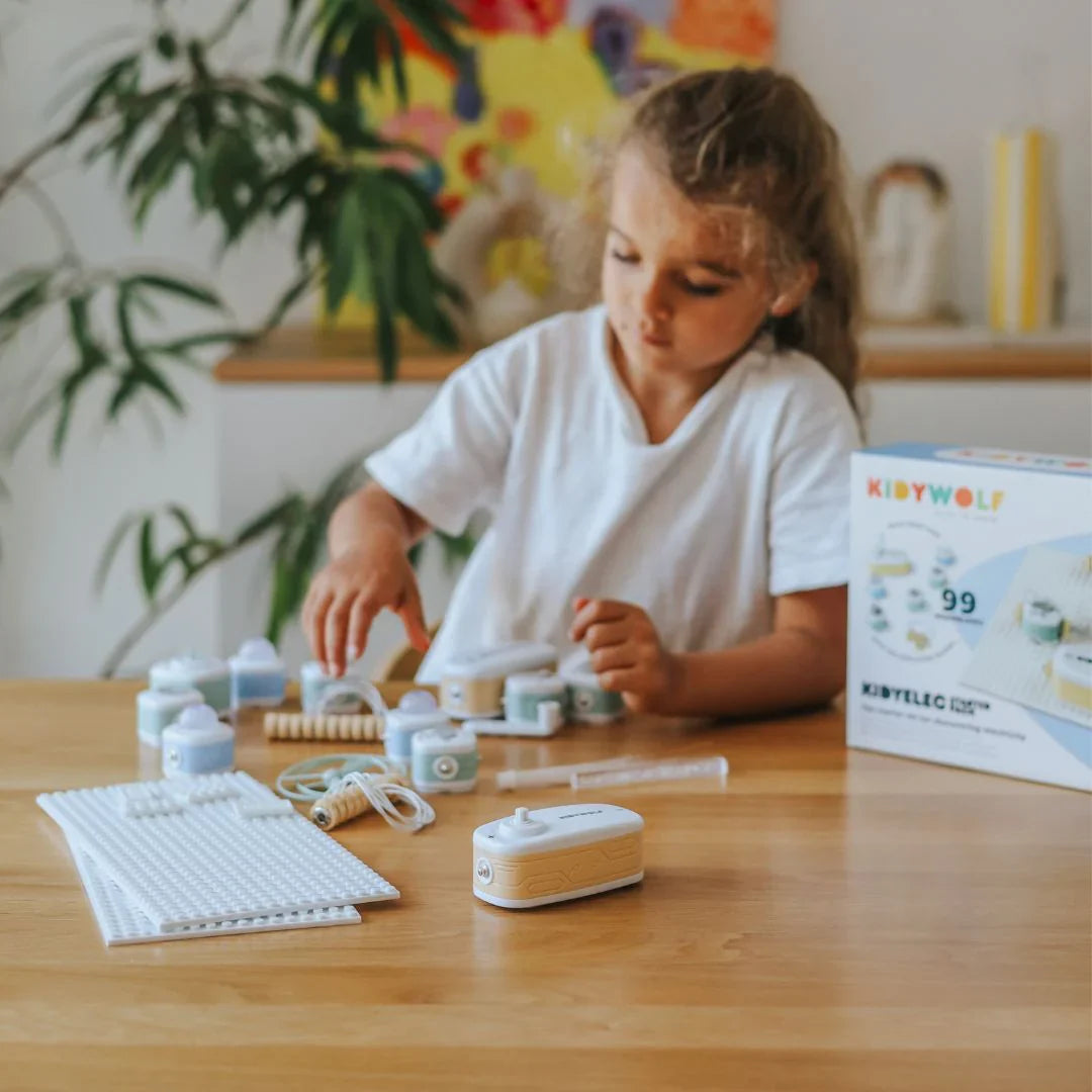 Kidywolf electricity experiment kit 11 pieces