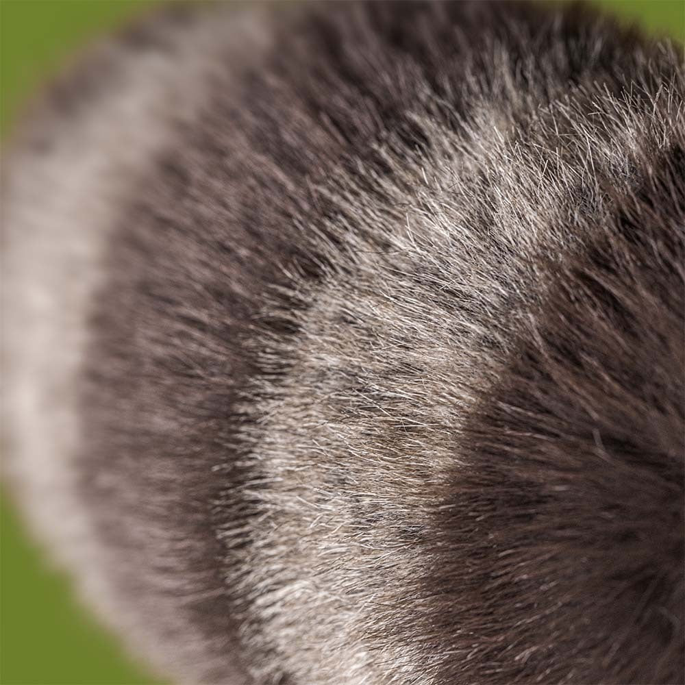 Jellycat Trixiwoo, le raton laveur