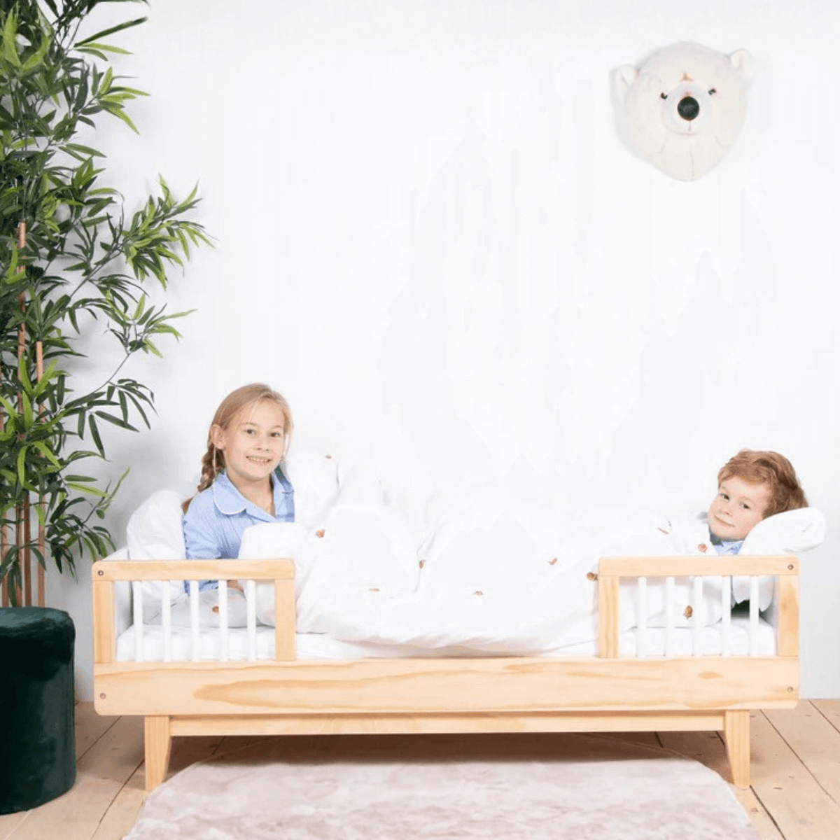 Wild & Soft Basile, la testa di animale dell'orso polare