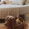 Lorena Canals Panier Dog Poppy