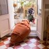 Lorena Canals Sitzsack Cathy the Carrot