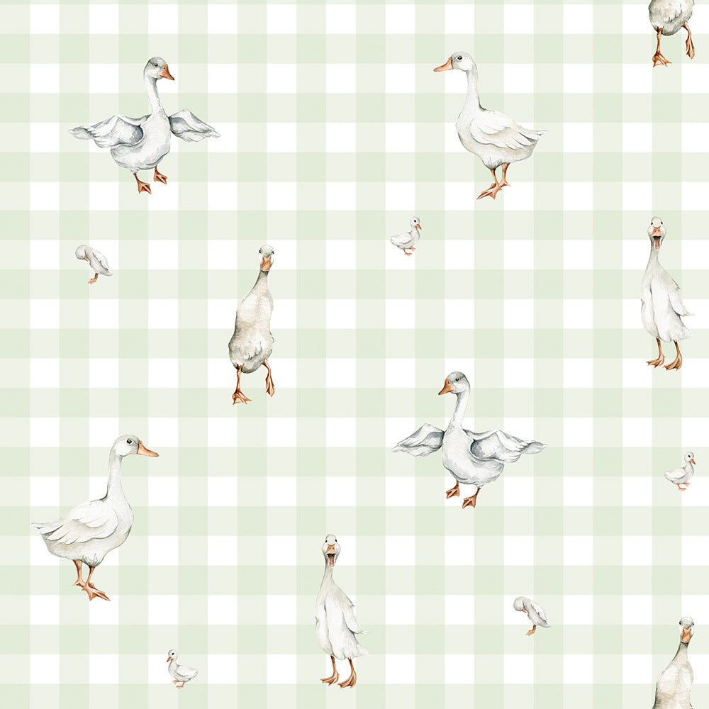 Dekornik wallpaper ducks on plaid green stripes 50 x 280